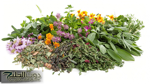 «ولا عمرك سمعت عنها»... تعرف على 3 انواع من الأعشاب النادره لمكافحة العدوى وتنشيط الاعضاء الداخليه مثل الكبد