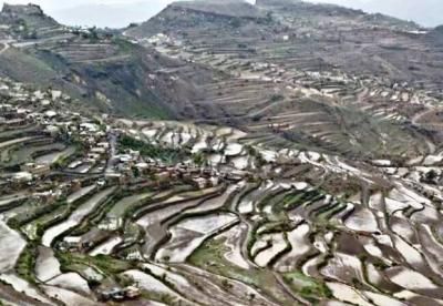 أخبار اليمن : أمطار رعدية وعواصف على صنعاء ..تحذير للمواطنين