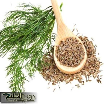 «هتخلي عودك سمباتيك».. عشبة مطبخية سحرية تزيل الكرش دون ريجيم… تعرفوا عليها لا تفوتها