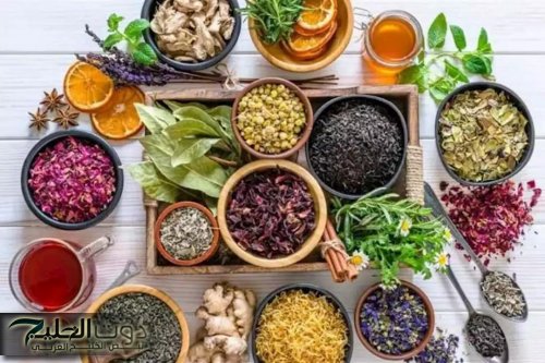 سعرها على "قد الإيد".. عشبة تقضي على الإمساك وتقلل خطر الإصابة بالسرطان