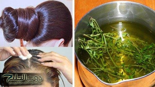 ”ضاع عمرنا واحنا منعرفش”..عشبة سحرية تعمل علي إعادة الأمل والحياة للعجائز..العشبة كنز في كل منزل.. لن تصدق