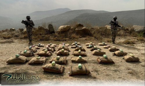 حرس الحدود بجازان يحبط تهريب 160 كلجم من القات المخدر