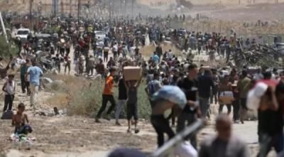 أخبار اليمن : ارتفاع ضحايا لقمة العيش بغزة إلى 2,095