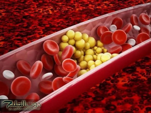 "سر خطير محش يعرفة"...تعرف على أربع أطعمة سحرية تتناولها مساءا تساعد في خفض مستويات الكوليسترول