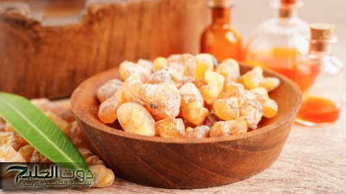 يعالج التهاب المفاصل .. 5 فوائد غير متوقعة لـ لبان الدكر