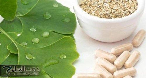 “كلمة كنز من ذهب قليلة عليها”.. عشبة بسيطة تقوي الذاكرة وترجع الشايب شباب بسرعة قياسية