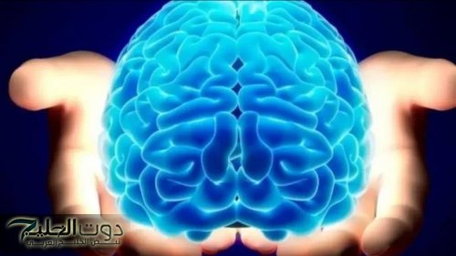 «معجزة هبطت من السماء»..تمرين لو فعلته ثلاث مرات قبل النوم يحميك من الخرف والزهايمر ويجعل ذاكرتك حديد