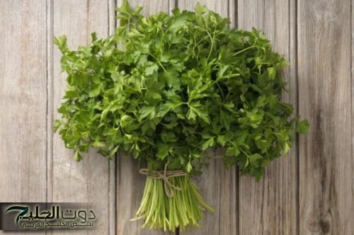 معجزه من قلب الطبيعه.. العشبة السحرية بريحتها القوية اللي بتنشط المخ تقوي الذاكرة تحارب الشيخوخة