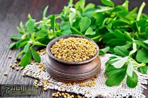 "مستحيل تخطر علي بالك"...هذا ما يحدث للسكر والكوليسترول في جسمك عند تناول هذا المشروب الخارق يوميا