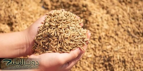 "العطارين عارفين مفعولها يساوي ذهب" ... عشبة سحرية موجودة فِي مطبخك تخفض الكولسترول وتحارب السرطان