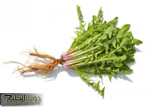 «ضاع عمرنا واحنا مش عارفين»..عشبة سحرية بنكهة تجدها فـي كل بيت.. تعالجك من الغازات والامساك والقولون