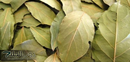 هتخس من غير ماتحس في لمح البصر...!! طبيب يقدم مشروب سحري لحرق الدهون وخفض الكوليسترول الضار!!