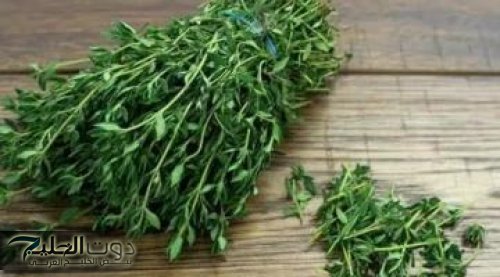 «مش هتصدق تأثيرها!».. سر من أسرار الطب الطبيعي: عشبة بسيطة تريح مفاصلك، تنظف جسمك من السموم
