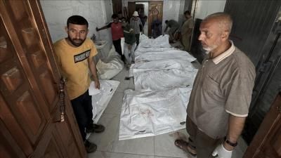 أخبار اليمن : ارتفاع عدد شهداء غزة إلى 62895