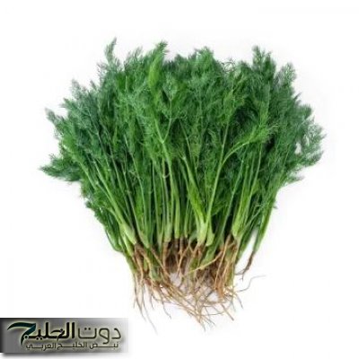 تصنع المعجزات: عشبة خضراء برائحة حلوة وبسعر التراب تزيل السموم من الجسم وتمنع ارتفاع سكر الدم.. وفوائد أخرى