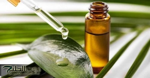 دون الحاجة للتدخل الجراحي.. عشبة سحرية موجودة في كل مطبخ تعالج البواسير وتخلصك من الإمساك المزمن في 5 دقائق