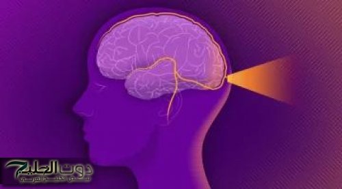 «مش مجرد أكل عادي!».. وجبة طبيعية غنية بالعناصر الغذائية اللي بيستخدمها الأذكياء علشان يحافظوا على قوة