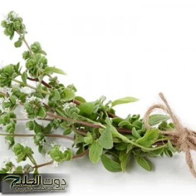 دون الحاجة الى الرجيم والرياضة المرهقة.. عشبة جبلية سحرية نزلت من السماء موجودة في كل مطبخ تسد الشهية