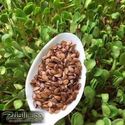 "مشروب تخسيس" ... بذور سحريه برخص التراب تنسف الدهون وتقضي علي الكرش بطريقة لا تخطر علي بال