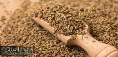 «عشبة المعجزة متوفرة في كل منزل لاكنها مهملة تقضي على السعال والزكام بلحظات»..تعرفوا عليها واحرصوا عليها