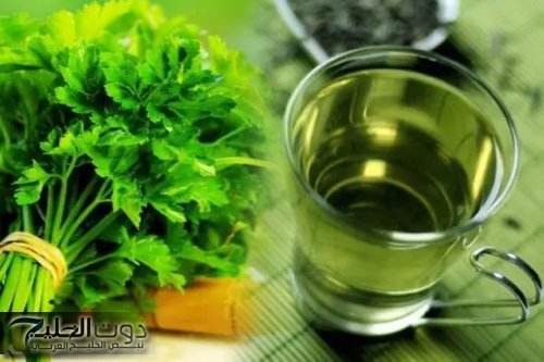 معجزه ربانيه بكل المقاييس.. قدرة ربانية عجيبة لهذه العشبة تعمل على تنظيف سموم الكلى والكبد والجسم