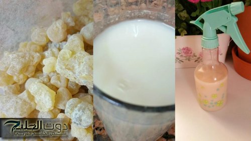 «هترجع العجوزة عروسة»... اكتشفي سر بشرة مشدودة وجميلة مع كولاجين لبان الدكر الطبيعي – طريقة الاستخدام