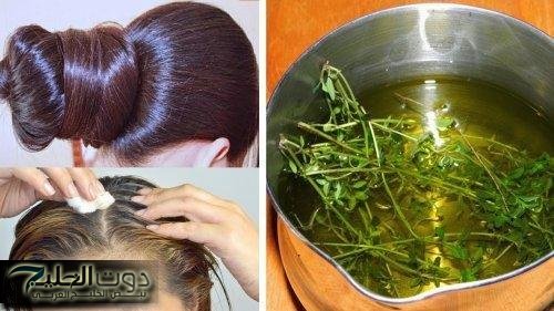 ”ضاع عمرنا واحنا منعرفش”..عشبة سحرية تعمل علي إعادة الأمل والحياة للعجائز..العشبة كنز في كل منزل