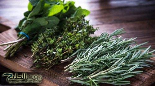 يا ريتني عرفته من زمان… مكون منزلي يساعد في تقوية الذاكرة ويمنع النسيان جربه بنفسك!!