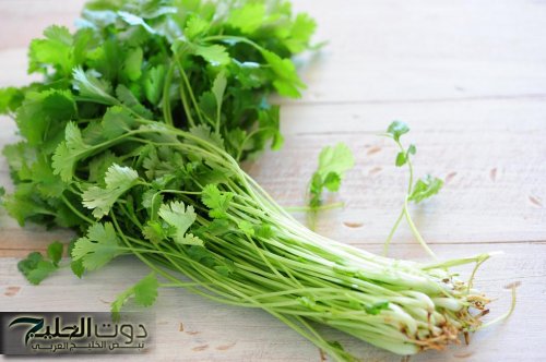 "سر العلاج من قلب الطبيعة!".. عشبة مهملة لكن معجزة تنظف الكبد من السموم، تفتت حصوات الكلى