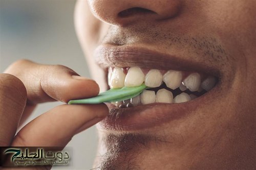 «مفاجأة صادمة لعشاق العلكة!».. دقيقة زيادة في المضغ ممكن تسبب مشاكل هضمية وأسنانك تدفع الثمن!