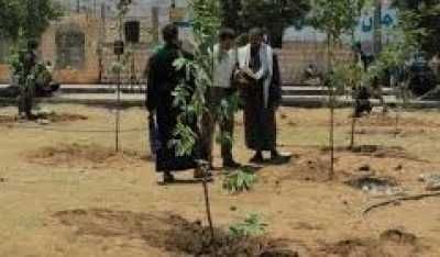 أخبار اليمن : صنعاء: تدشين حملة تشجير بمديرية آزال