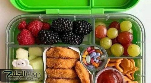 خبيرة تغذية تحذر من هذه المنتجات فى "سندوتشات المدرسة"