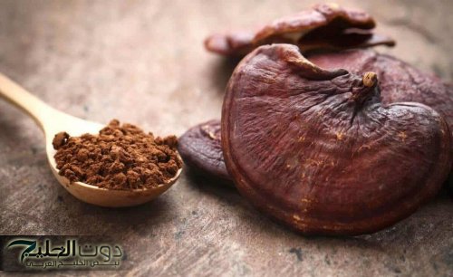 «سر التنحيف من الشرق الأقصى!».. فطر الجانوديرما بيحرق الدهون المتراكمة ويعزز صحتك بشكل مدهش!