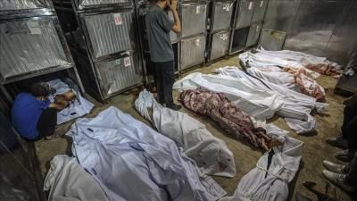 أخبار اليمن : ارتفاع حصيلة شهداء غزة إلى 63459