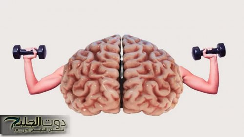 «أذكى من أينشتاين».. سر التمارين العقلية اللي هتحميك من الزهايمر وتخليك ما تنسى أي معلومة!