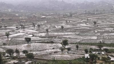 أخبار اليمن : استمرار الأمطار وتحذير من السيول