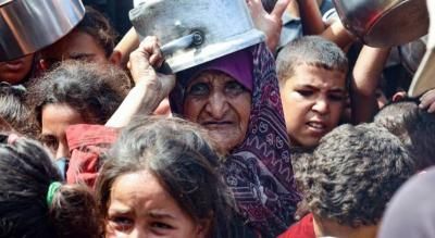 أخبار اليمن : صحة غزة: 9 شهداء جوعاً بينهم 3 أطفال