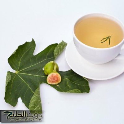 "منتشرة في مصر والسعودية" .. أوراق هذه الشجرة تحتوي علي كنز طبيعي يغفل عنه الكثير .. ما هي؟؟؟