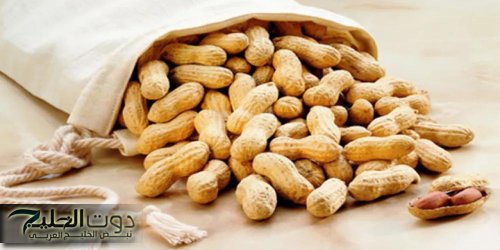 من النهاردة حياتك هتتغير ميةف المية .. يا ترى ماذا يحدث للجسم عند تناول الفول السوداني كل يوم