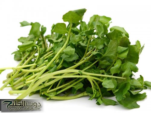 هل اكل الجرجير يوميا يساهم في تقوية الشعر