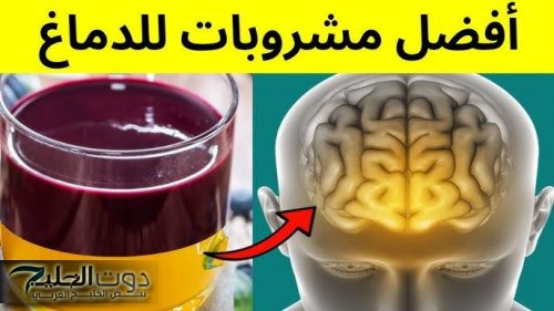 قبل بداية العام الدراسي الجديد .. أهم 4 مشروبات طبيعية تقوي الذاكرة والتركيز وتفيد الدماغ
