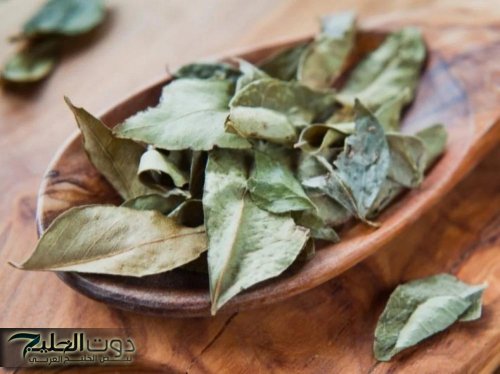 «معجزة للتنحيف من قلب الطبيعة!».. الحرجل ورق أخضر هيغير شكل جسمك وصحتك في وقت قصير!