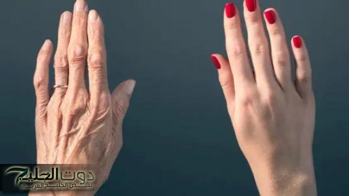 أهمها مرق العظام.. 5 أطعمة تعزز الكولاجين وتقي من التجاعيد