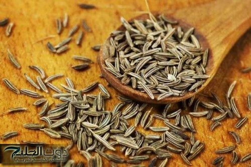 عشبة رخيصة جدًا وفي نفس الوقت فوائدها من دهب.. تقضي على الإمساك وأحسن حل لتنشيط الدماغ والذاكرة