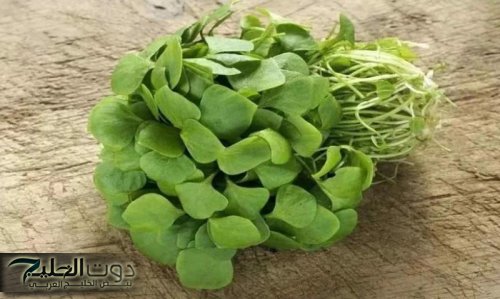 "انسـى دوا السكـر بعد الوصفـة دي" أعشاب تقلل من السكر في الدم والسكر التراكمي.. مفعولها زي السحر