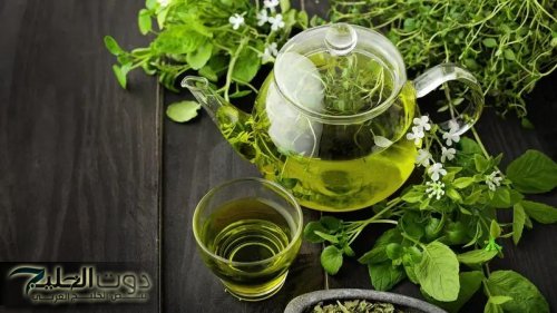 7 توابل شهيرة.. إذا أضفتها للشاي الأخضر ستدخل في نوم عميق ومتواصل