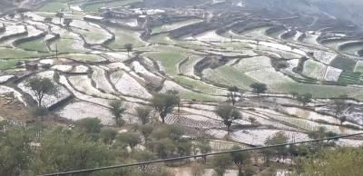 أخبار اليمن : أمطار وضباب.. تفاصيل طقس اليمن