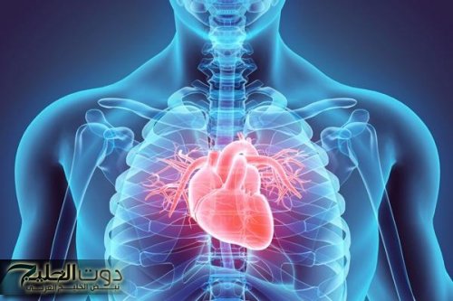 أطعمة تقلل خطر الإصابة بأمراض القلب بنسبة تصل إلى الربع .. ما هي؟؟؟