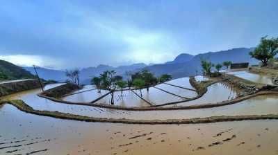 أخبار اليمن : الشوافي يكشف تفاصيل حالة ماطرة على اليمن