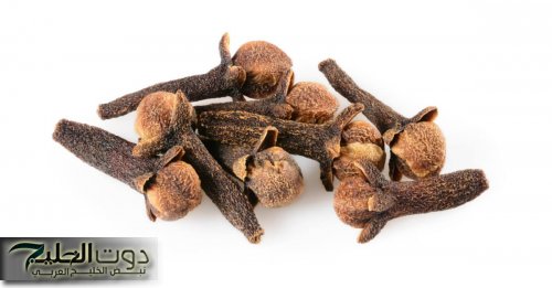 السر اللي هيخلي شعرك ينافس شعر الأميرات.. استخدمي القرنفل بهذة الطريقة وسوف تحصلين على شعر ناعم وطويل من أول